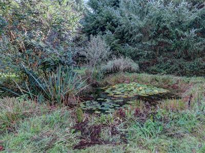 Picture 25